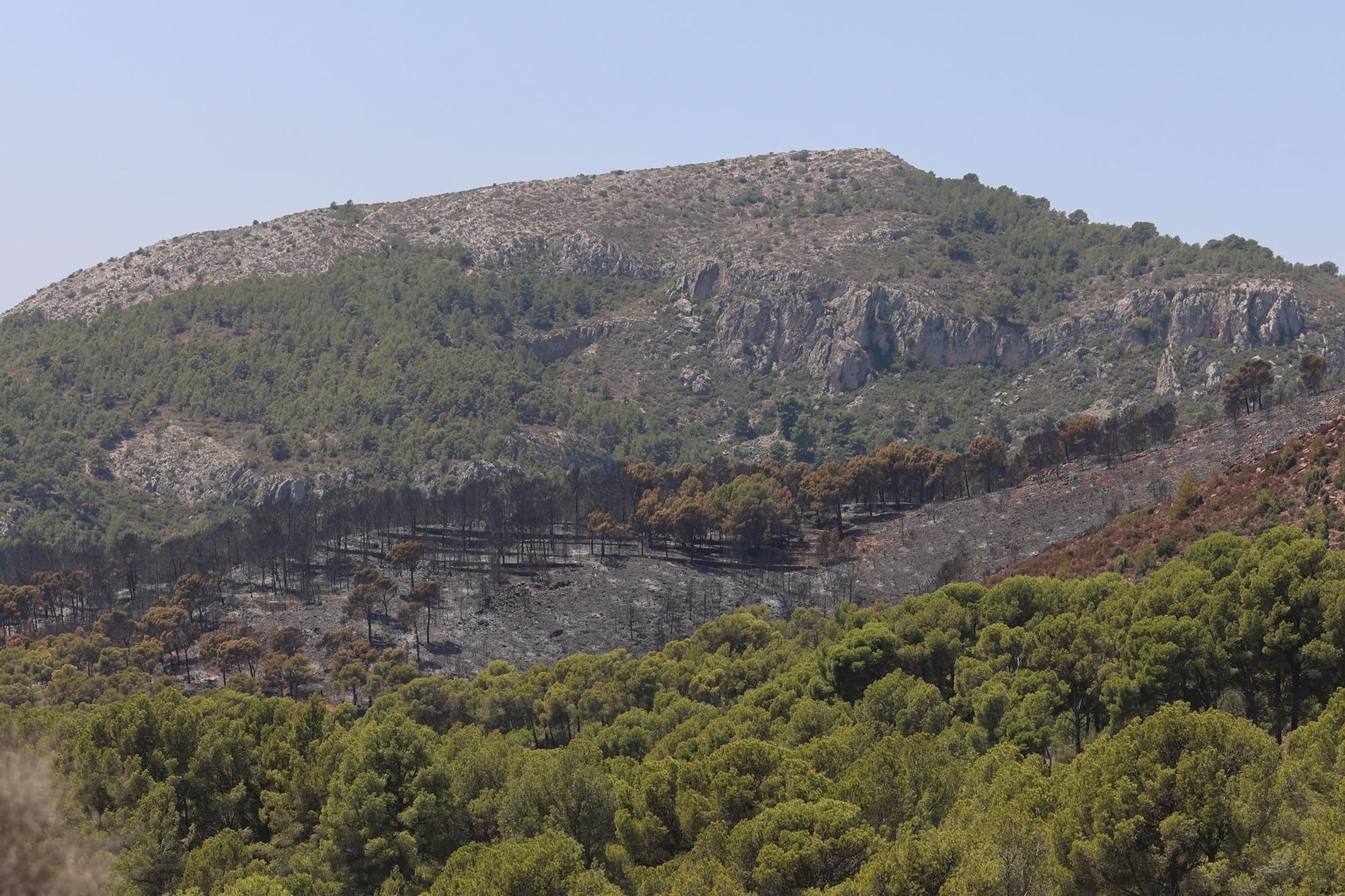 Galería de imágenes: Estabilizan el incendio del Desert