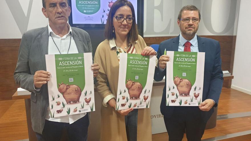 Las vacas campeonas del concurso de la Ascensión desfilarán por la calle Uría de Oviedo