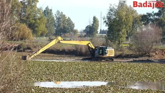 Vídeo | Labores de limpieza del nenúfar en el río Guadiana