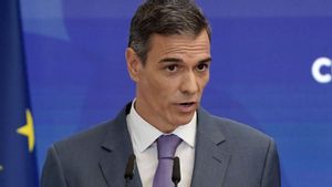 Un ànec coix