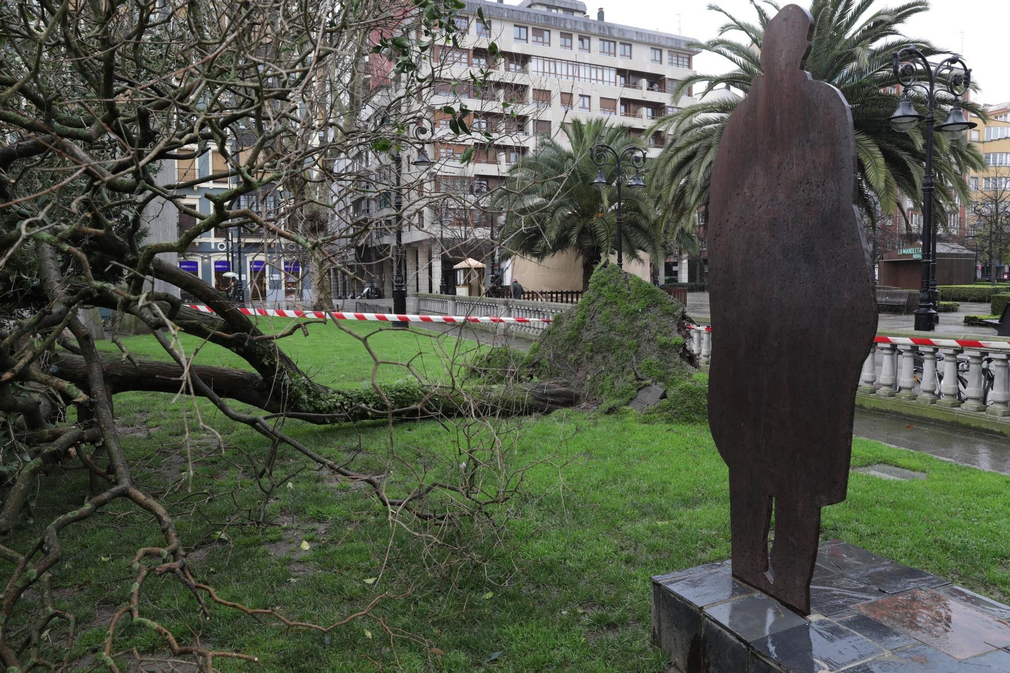 Los efectos de la "tormentona" en Gijón (en imágenes)