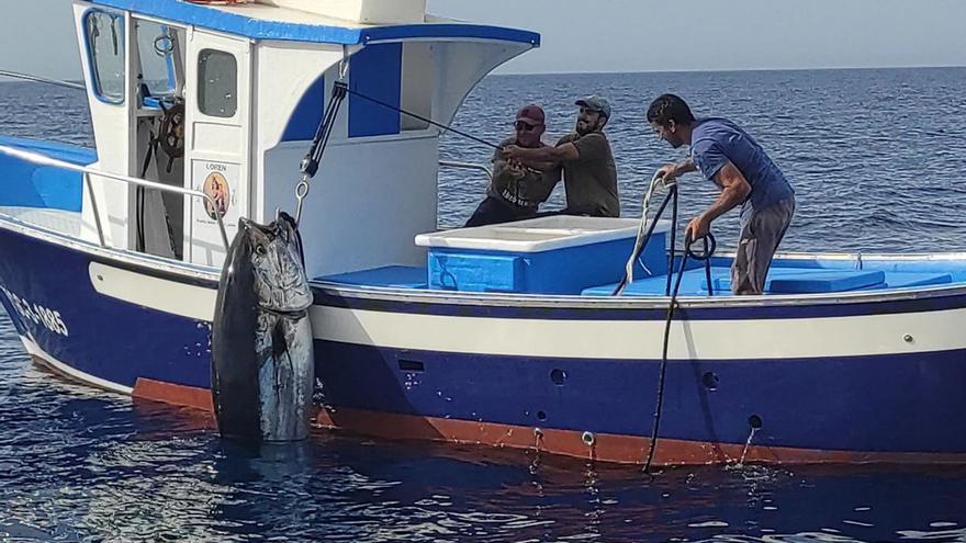 La Federación de Cofradías rechaza  el parque eólico marino en Jandía