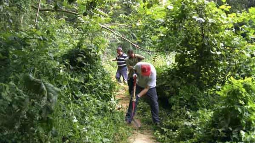 Integrantes de ProCulto acondicionan un sendero