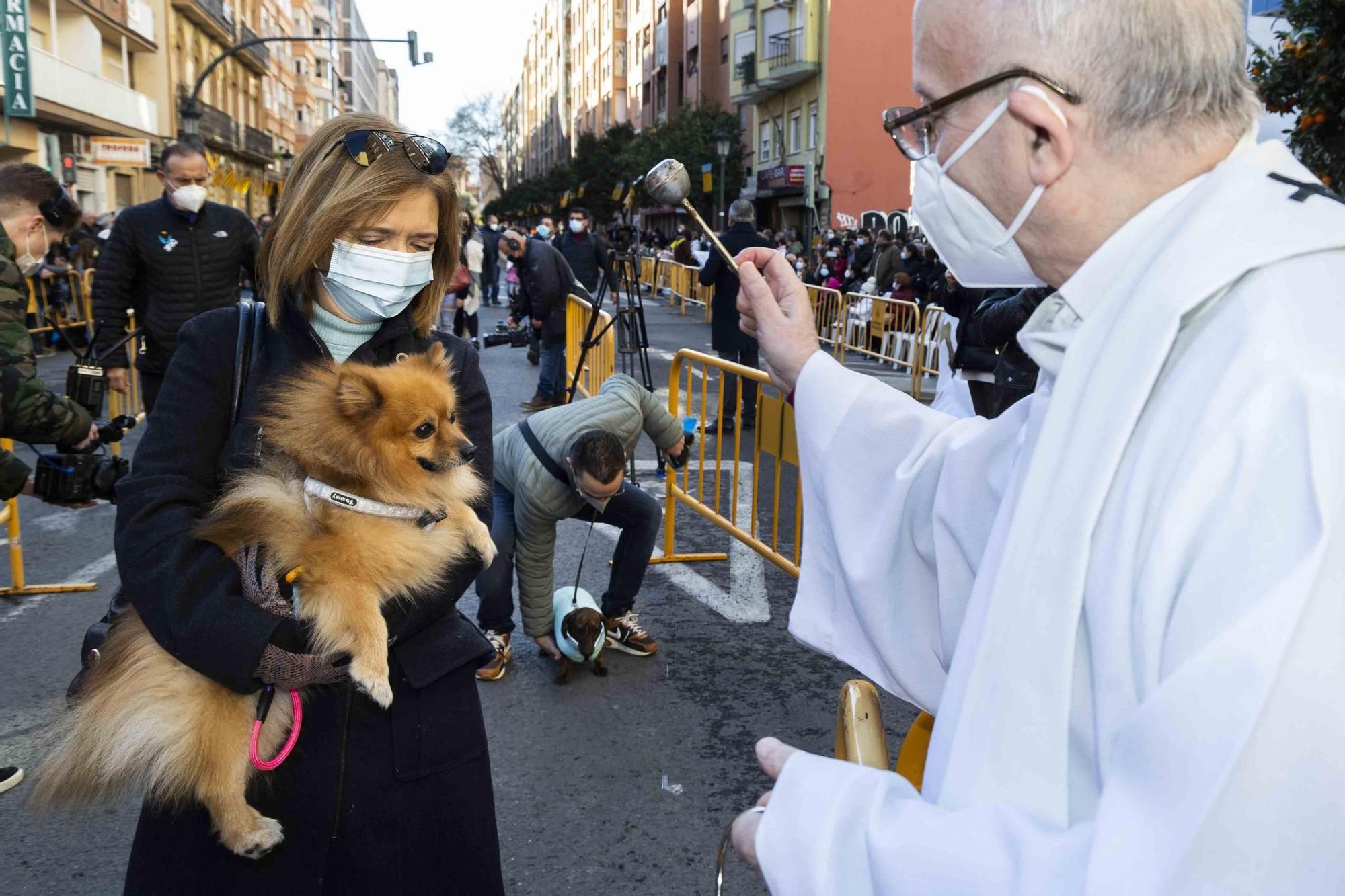 Búscate en la bendición de animales de Sant Antoni