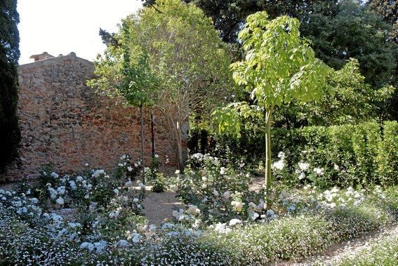 Hochzeitsgarten in Weiß