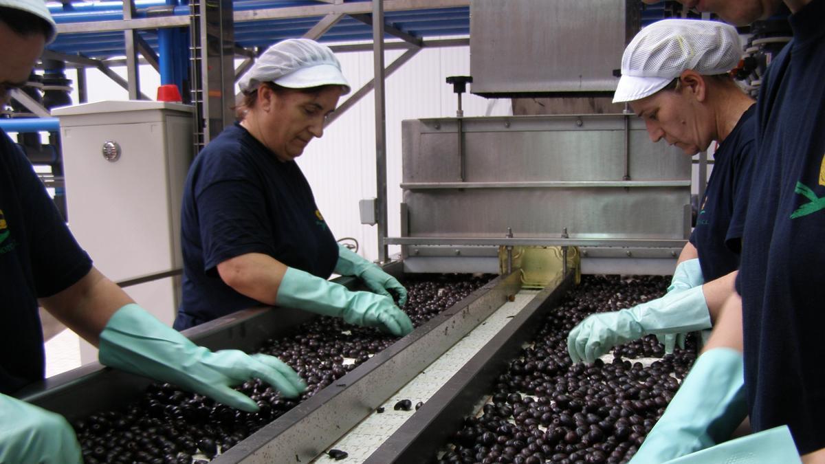 Mujeres trabajan en una cooperativa