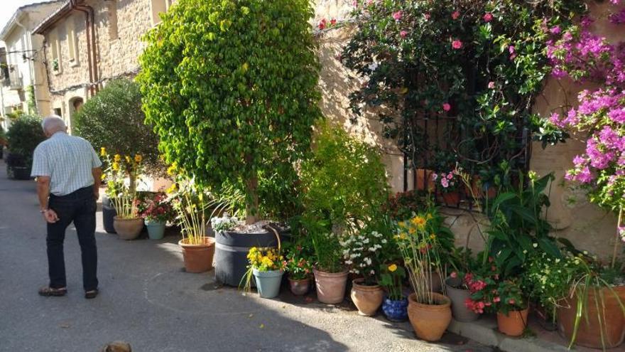 Llíber, el pueblo de las calles repletas de flores | A. P. F.