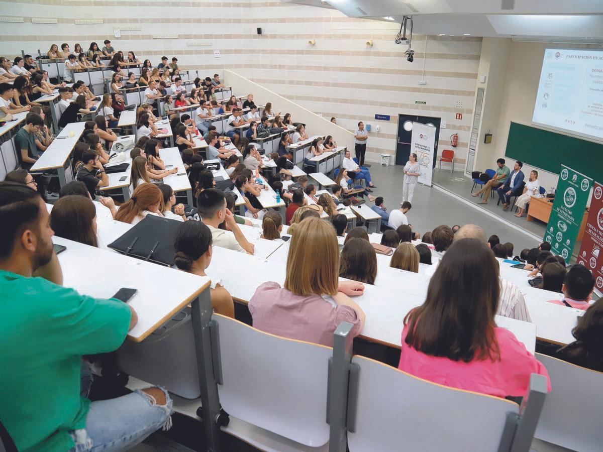 Linneasky’s irresistible charm