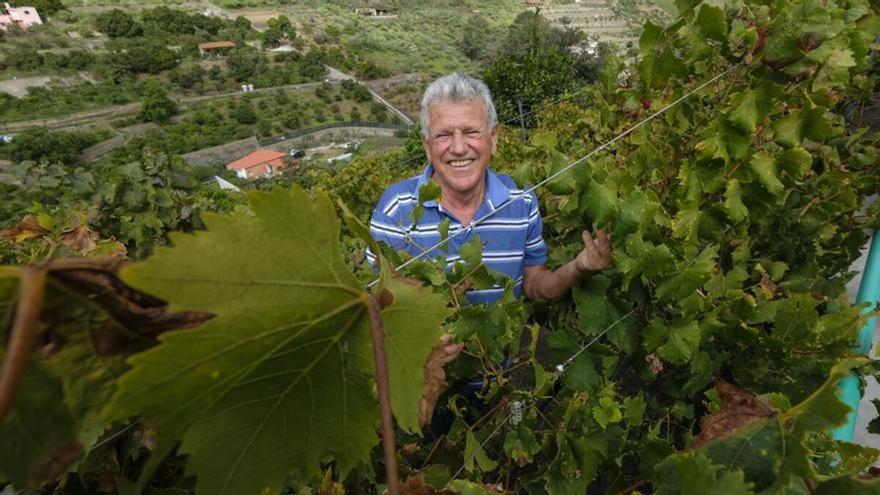 Una bodega de Telde coloca tres vinos entre los mejores de España