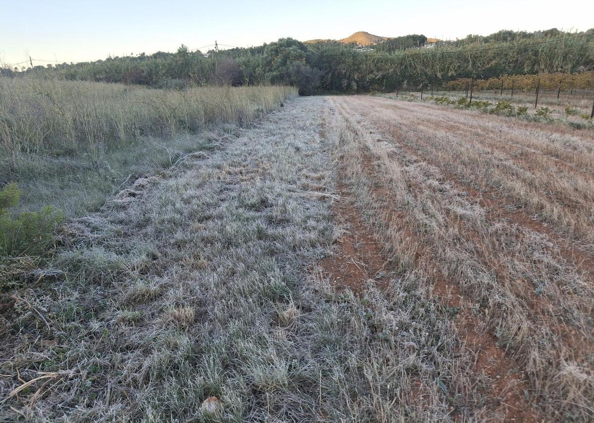 Suelo escarchado en la partida de Lluca. La montaña que asoma al fondo es el Tossal Gros