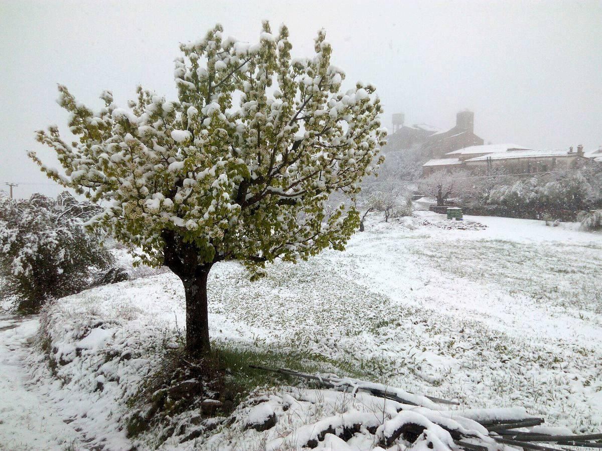 La nieve en primavera