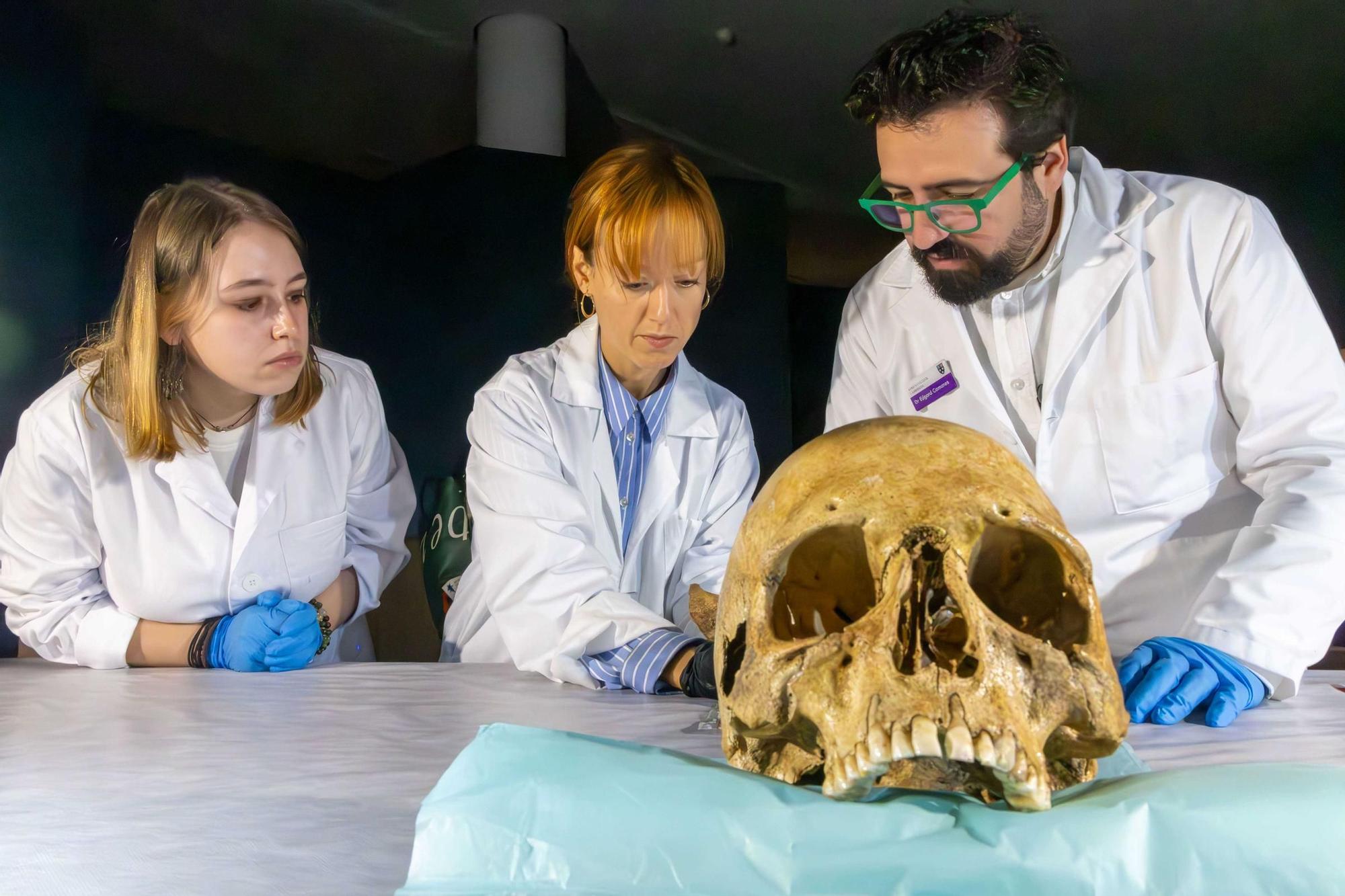 Recontruyendo una vida vikinga