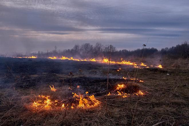 Tragedia climática - Incendio de campo
