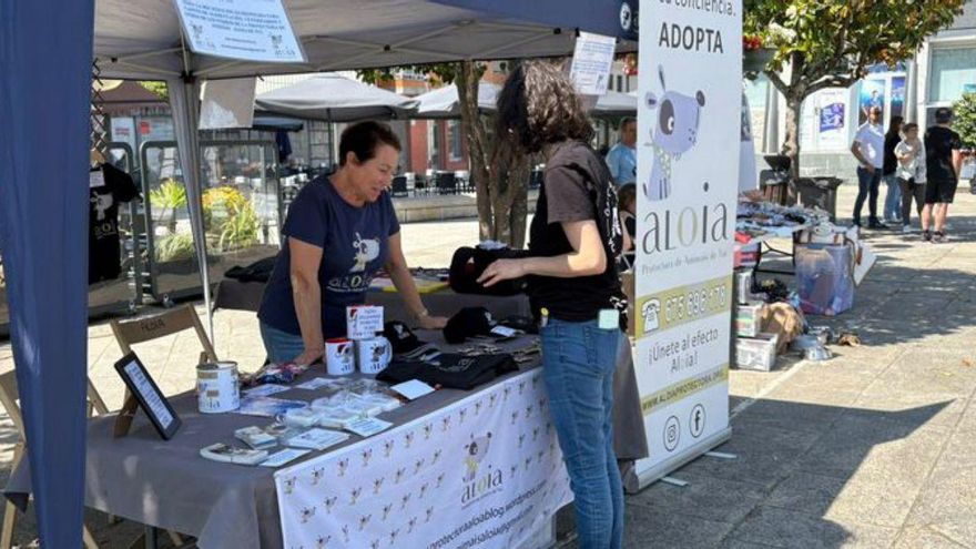 «Patas arriba», la feria de las protectoras | D.P.