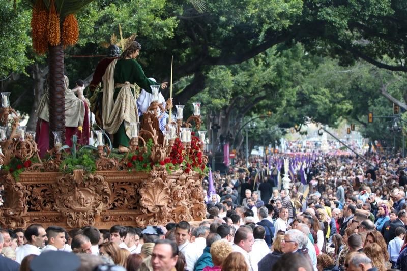 Domingo de Ramos de 2016 | Pollinica