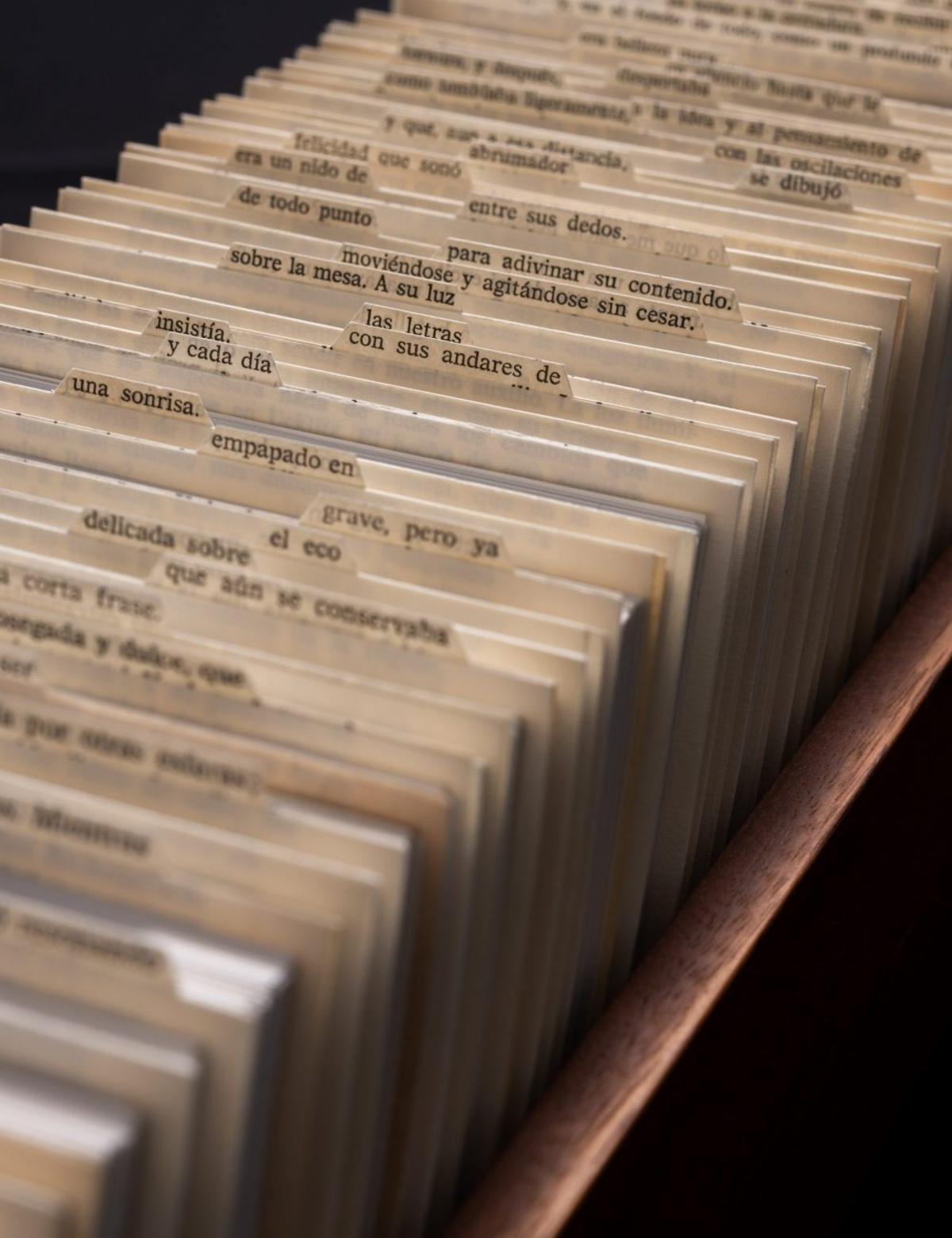 'Sotaveu' fou la primera exposició antològica sobre l'obra de Mar Arza.