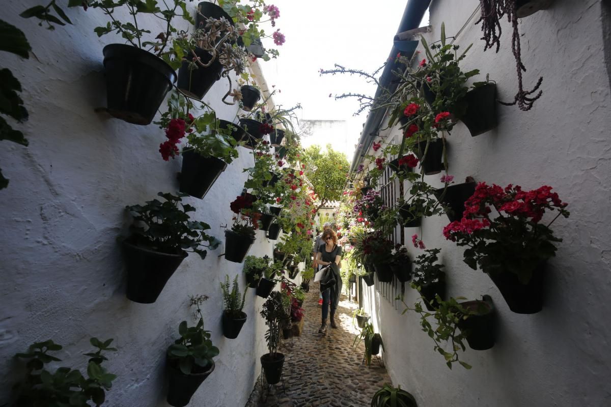 Paseando por los patios de San Lorenzo y San Rafael