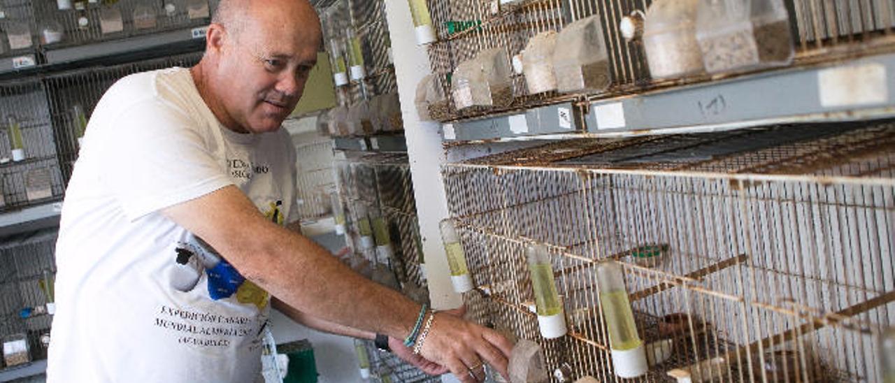 Mito Barrios atendiendo a sus numerosos pájaros en su casa en la Vega de Tetir.