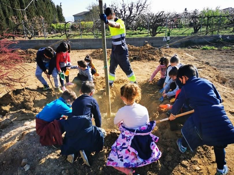 Setmana Cultural a l''escola Josep de Ribot i Oliva