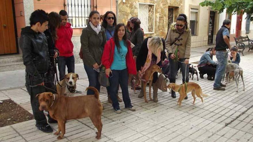 SOS Perrera dejará de gestionar adopciones si el Ayuntamiento de Badajoz no mejora las instalaciones