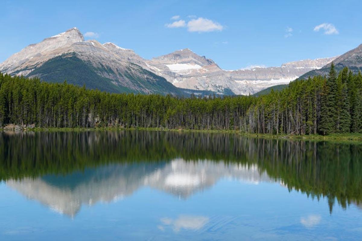 El lago Herbert
