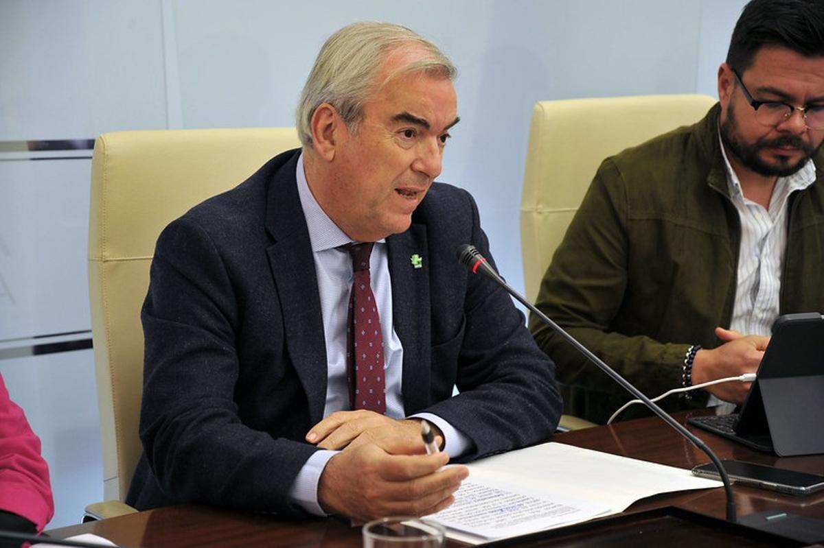 Vicente Alonso, este lunes en la comisión de sanidad.