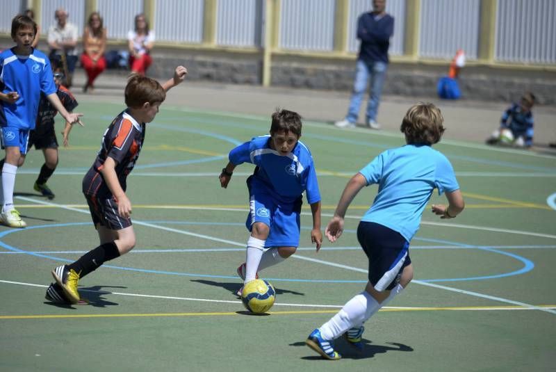 FÚTBOL: Rosa Molas - Pirineos B (Benjamin Superserie)