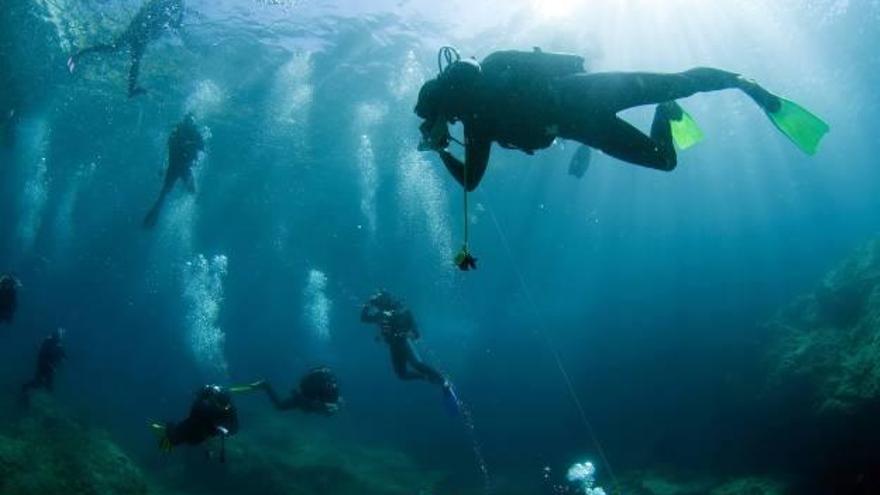 Gandia hundirá este verano 4 barcos en la playa para atraer turismo de buceo