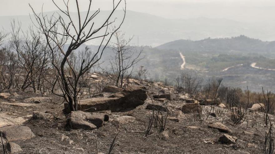 Panorámica de la devastación provocada por el fuego en Monterrei.