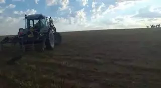 El agricultor que persiguió a un rebaño y mató a un perro pastor en Tauste afronta 5 años