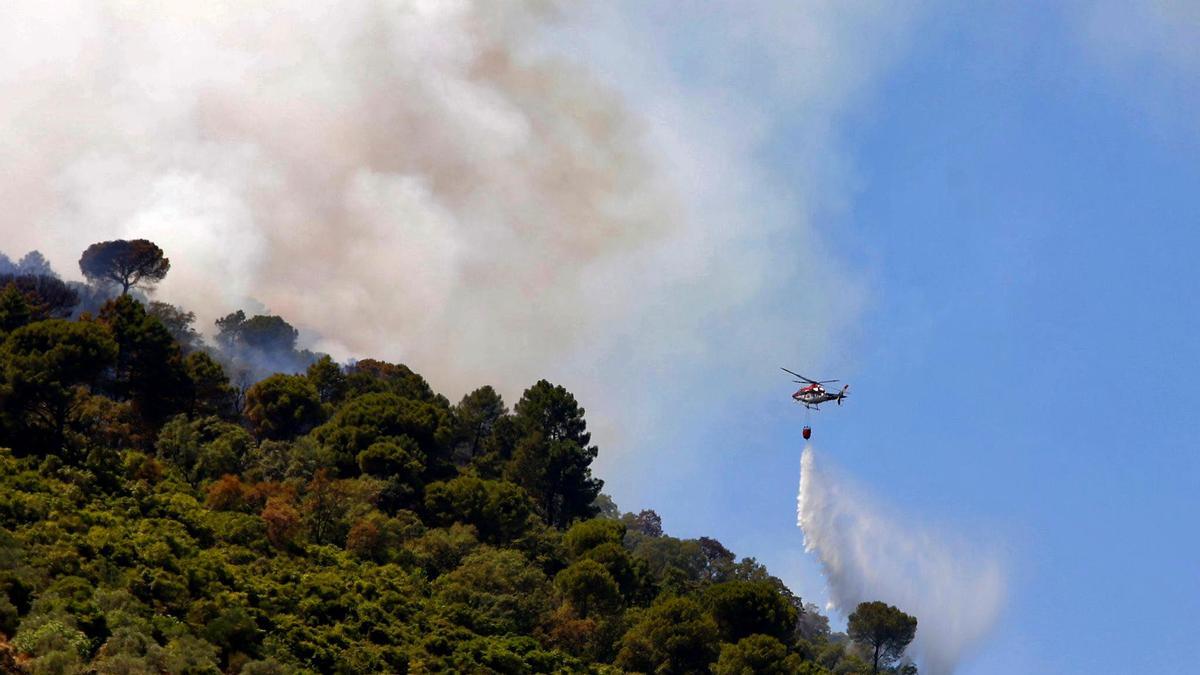 Incendio forestal en la sierra de Córdoba