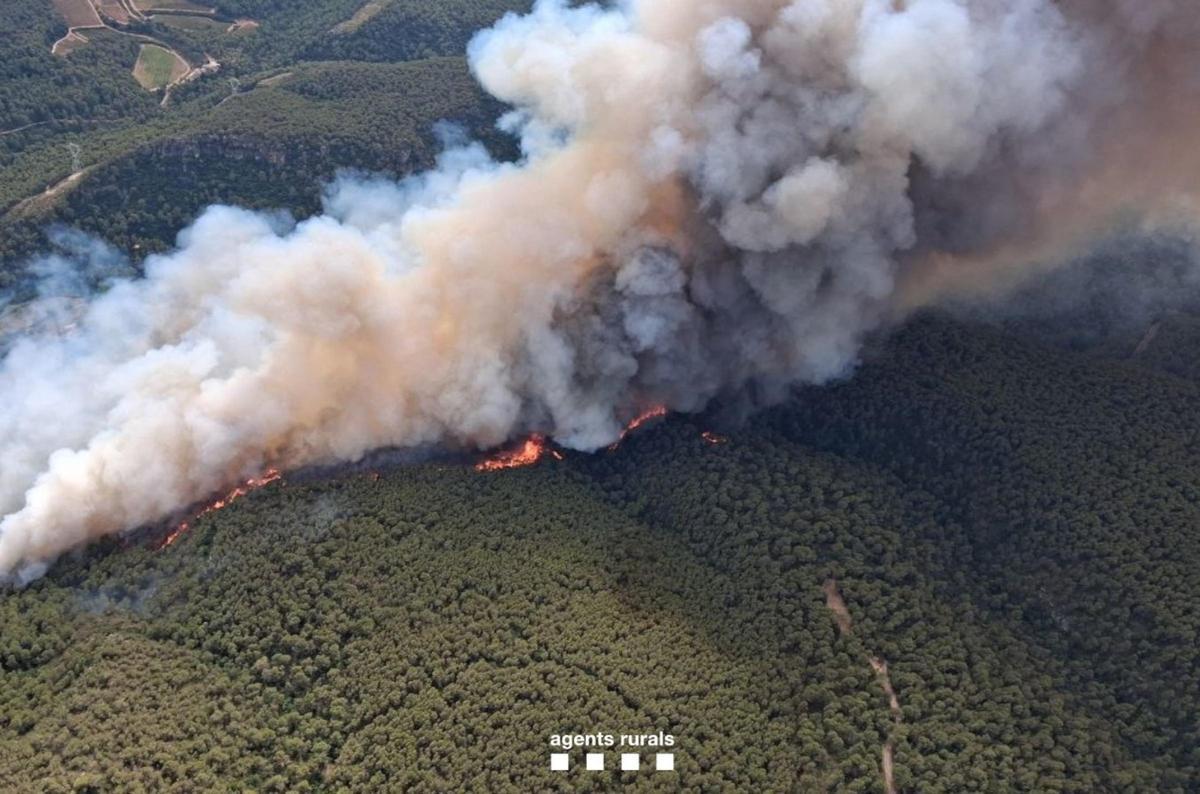 El incendio de Aiguamúrcia ya ha quemado 114 hectáreas y podría tener un potencial de un millar