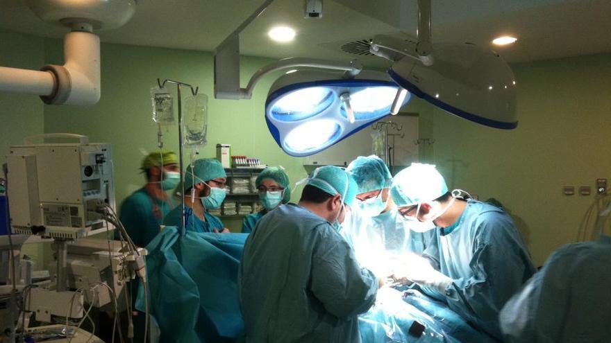 Málaga bate récords con 140 trasplantes