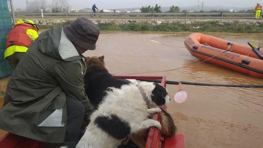 Los bomberos de Alzira rescatan a un hombre y sus perros en el campo y a un vecino atrapado en su vivienda