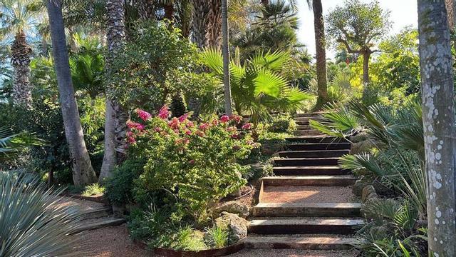Jardín Mediterráneo busca crear jardines sostenibles en la isla. | FOTOS: J.M.