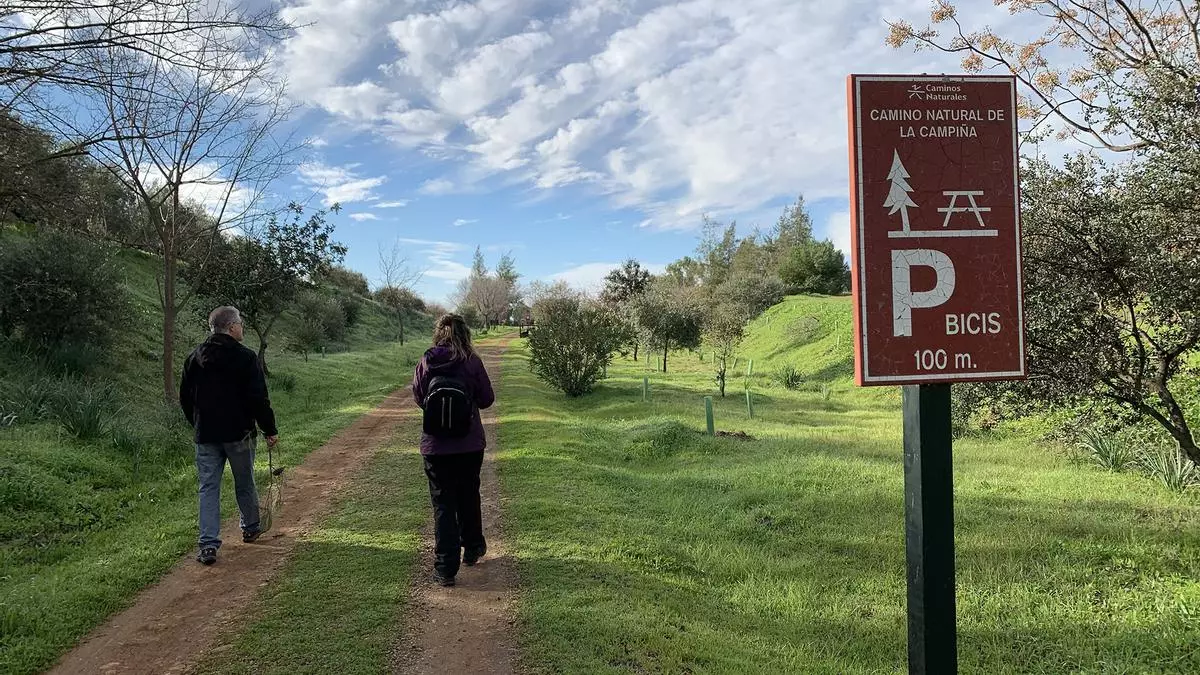 Reforestación contra el cambio