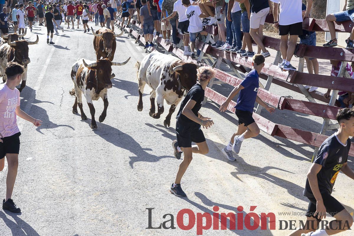 Sexo encierro de la Feria Taurina del Arroz, con la ganadería de Galache, que se ha saldado con un herido por asta de toro