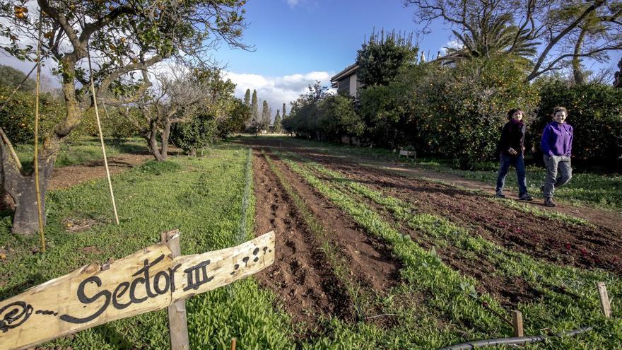 ¿Está Palma preparada ante el cambio climático?