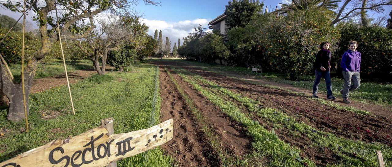 Finca del parque agrario de s’Horta de Dalt de Palma. | B.RAMON