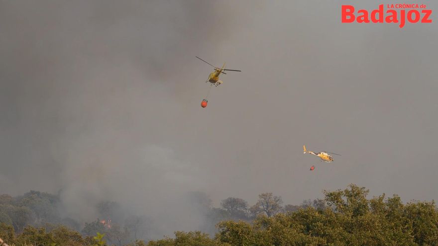 Desactivan el nivel 1 en el incendio forestal de la urbanización Malasaradas, en Badajoz