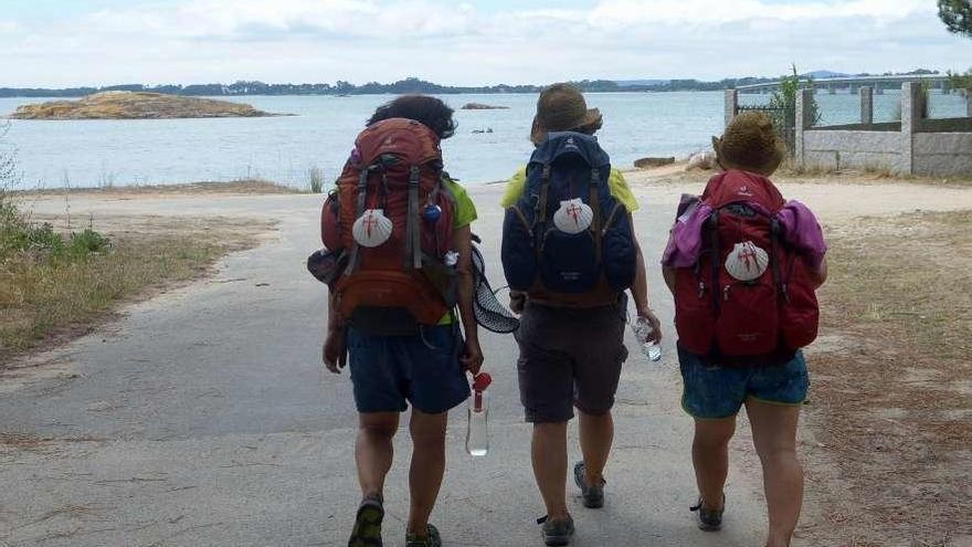 Un grupo de peregrinos recorren un tramo del Camino de Santiago.