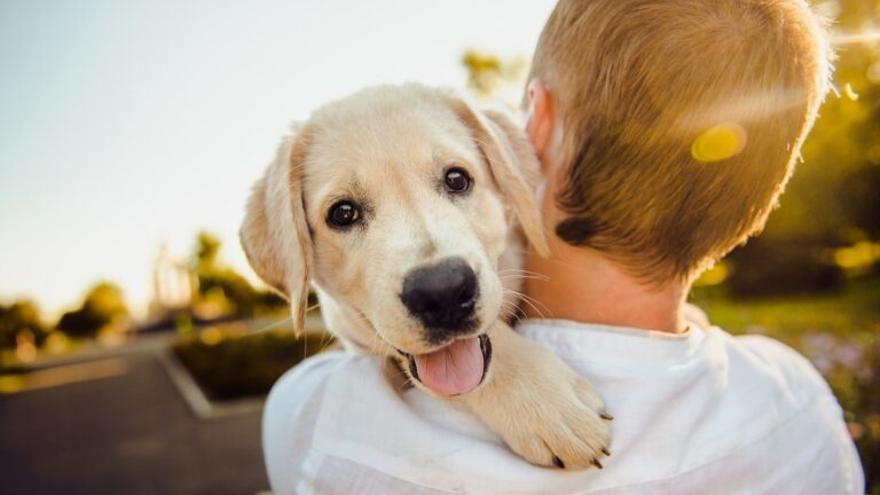 Los perros nacen siendo amigos de las personas