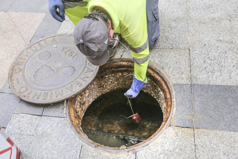 Plan de choque contra las plagas en Orihuela.