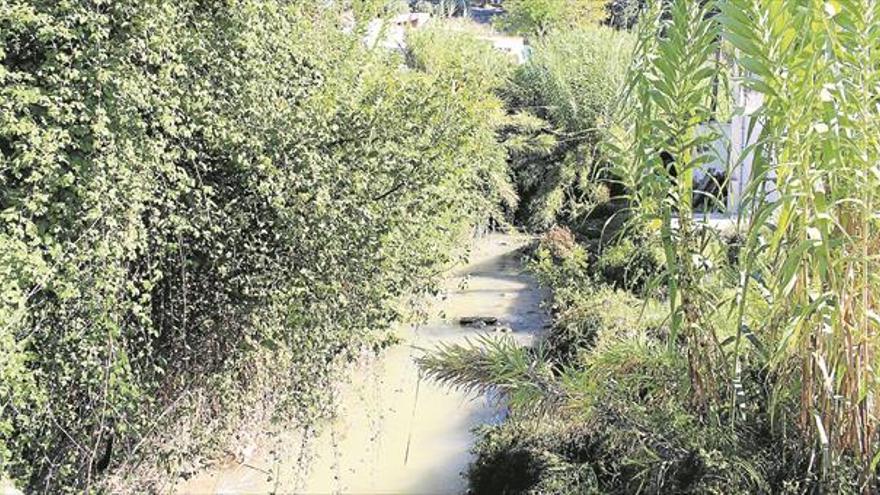 La mejora del río Cabra, a la espera de la calificación medioambiental