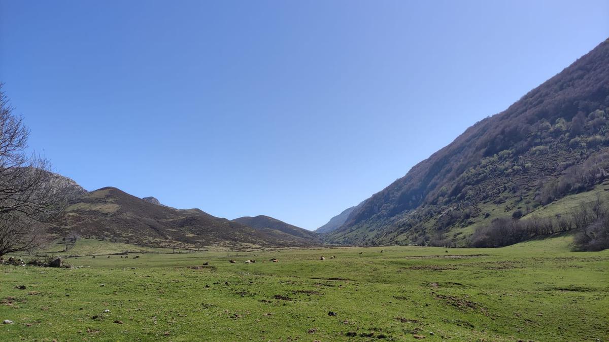 Valle de Viango, en Llanes.