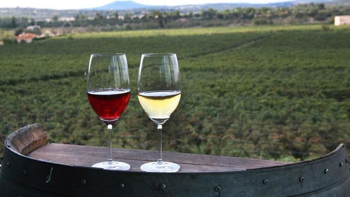 Vinos y licores con alma pitiusa: sabor local que combina tradición, territorio e innovación en cada botella.