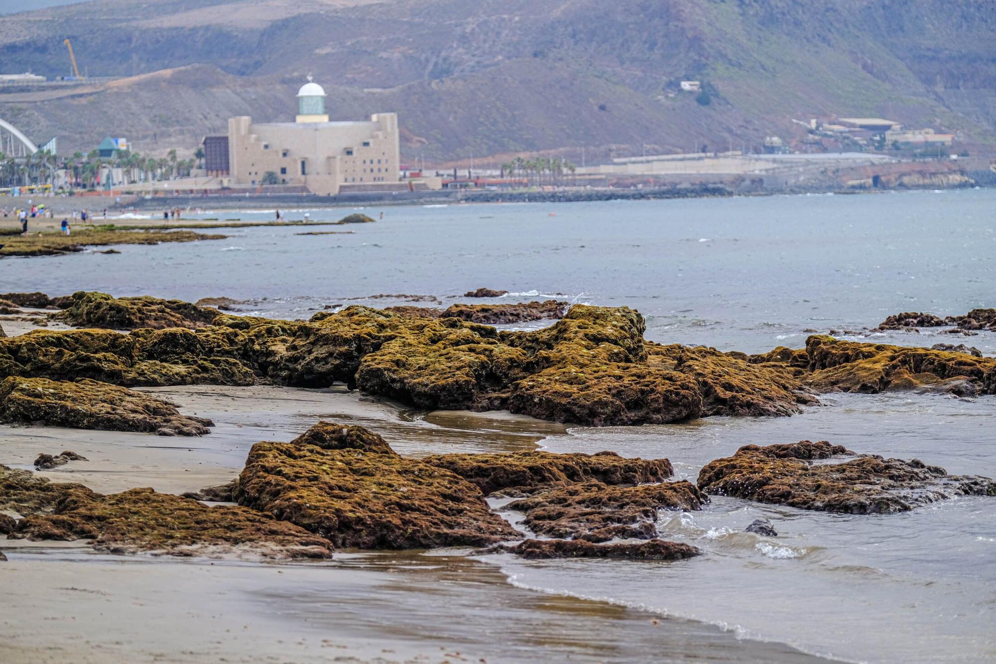 Playas fósiles de Las Canteras