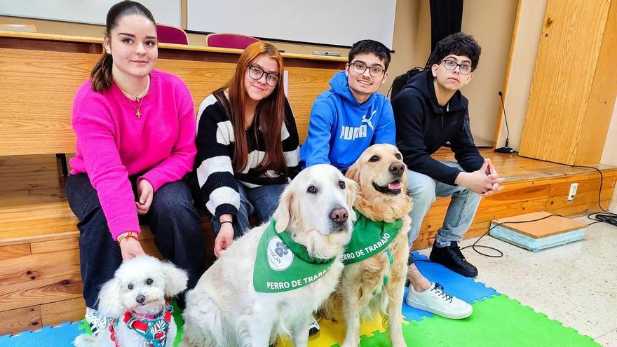 La asociación Cocan demuestra por qué el perro es el mejor amigo del hombre