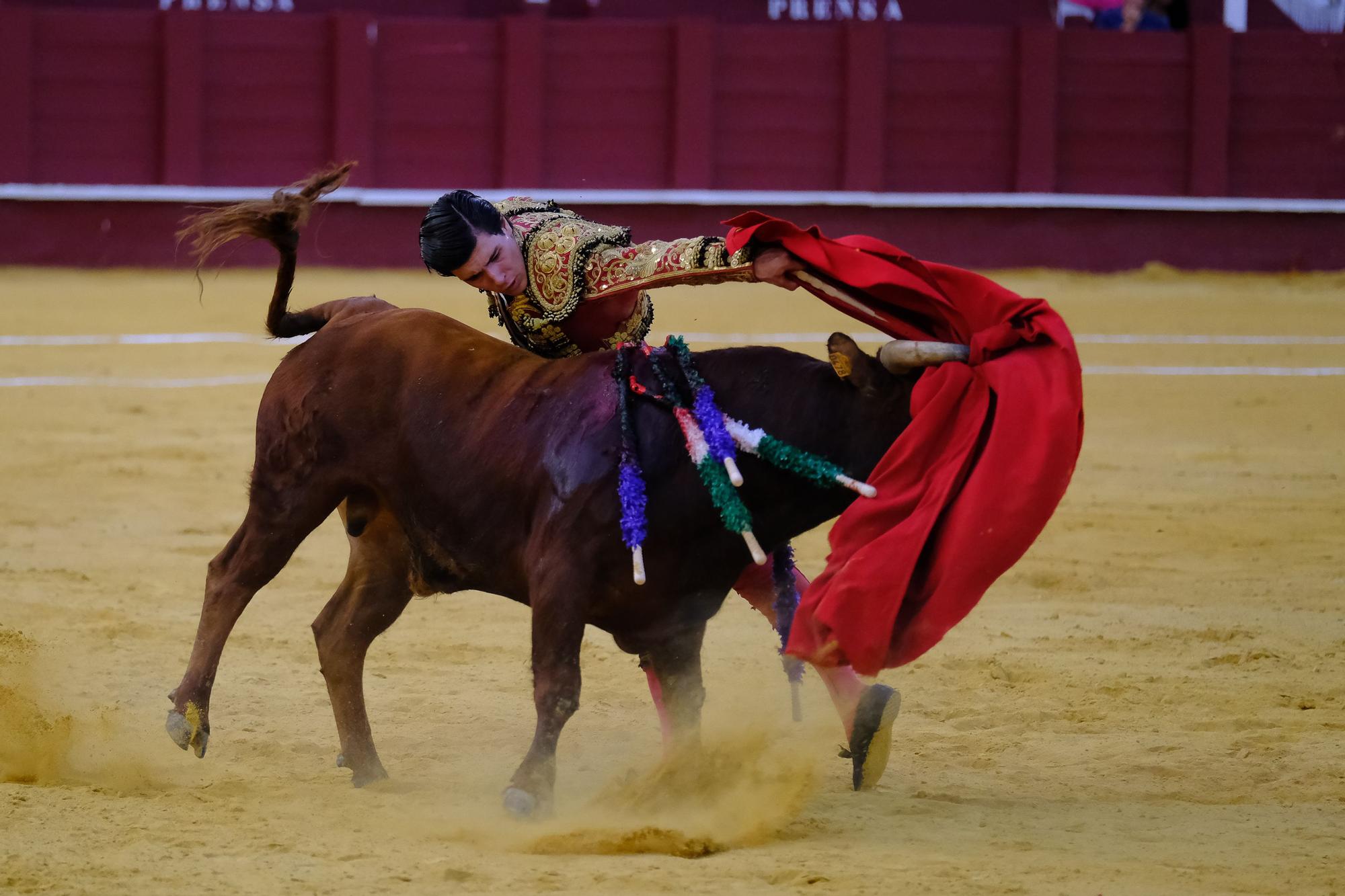 Toros en la Feria I Octava corrida de abono en la Malagueta:  2ª Semifinal de las Escuelas Taurinas