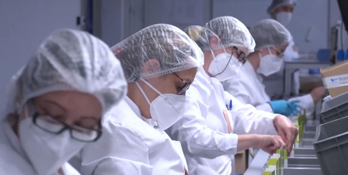 Werfen, la compañía de soluciones de diagnóstico in vitro para hospitales y laboratorios de análisis clínicos